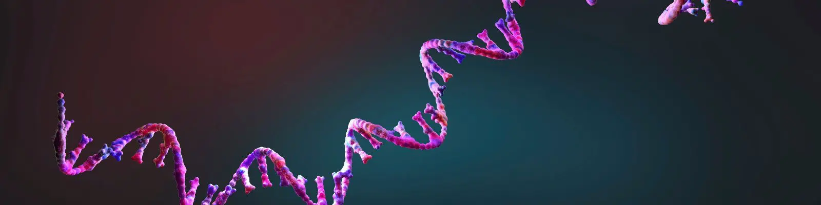 الأحماض الأمينية والببتيدات